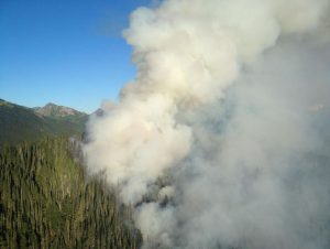 coxfireolympicnationalpark