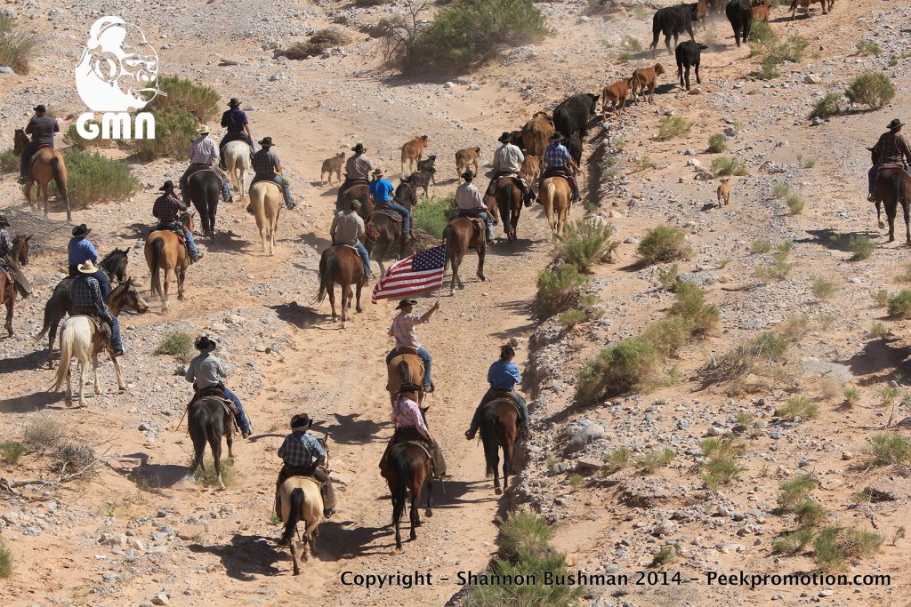 21wirez3-bundy-fed-standoff-april-12-2014-copyright-gmn