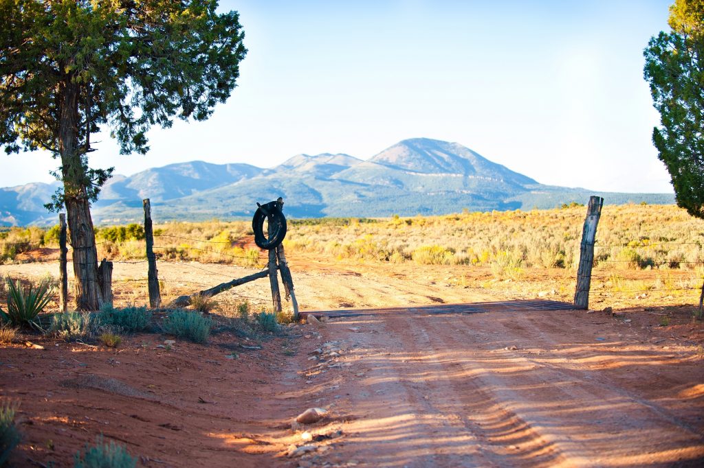 autumnbearsears2