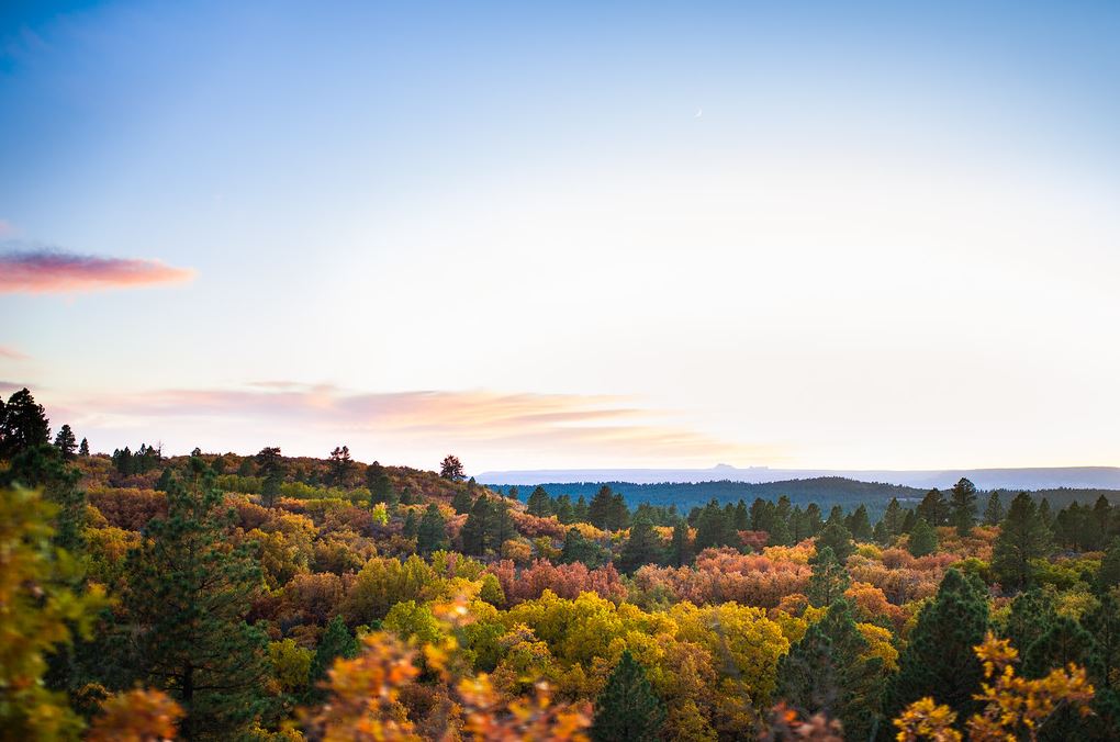 autumnbearsears3