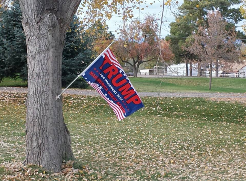 trumpflagtree